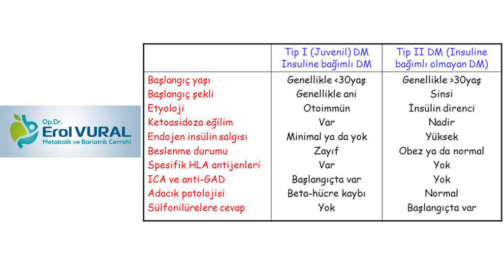 Tip 1 ve tip 2 lisans nedir?